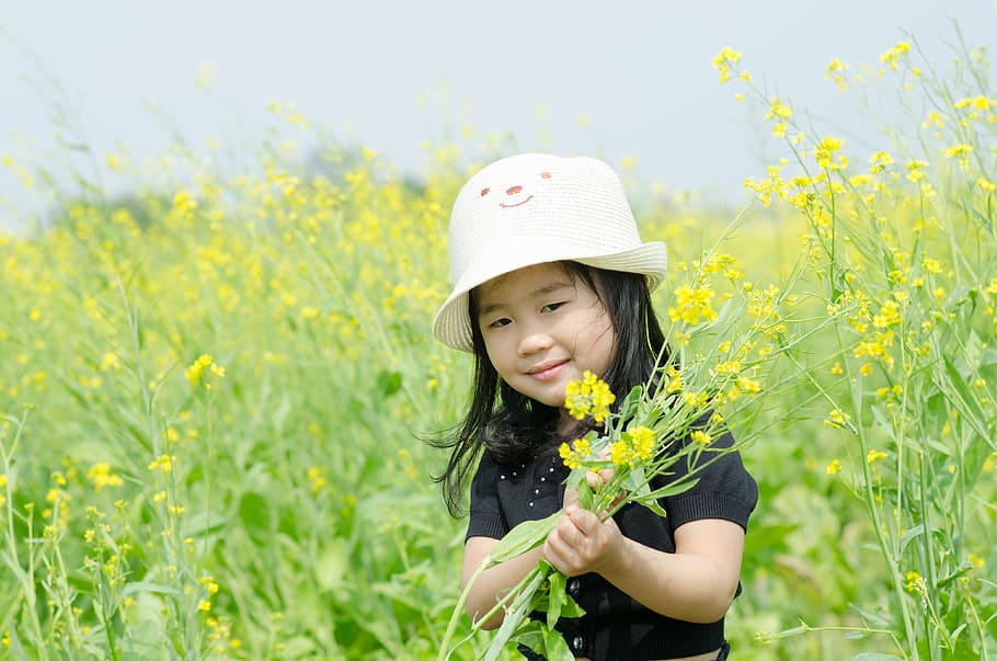 little, flower reform, field, girl, young, flower, nature, please, innocent, child