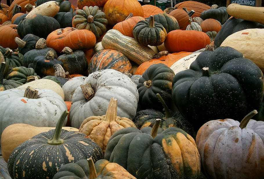 Pumpkin, Vegetables, Gourd, autumn, orange, halloween, crop, harvest festival, farmer's market, vegetable