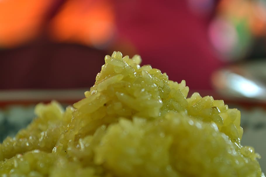 rice, turmeric, west sumatra, food and drink, food, selective focus, close-up, freshness, asian food, ready-to-eat