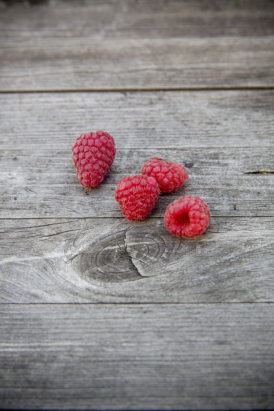 four red raspberries, raspberries, fruit, fruits, delicious, food, nutrition, red, frisch, eat