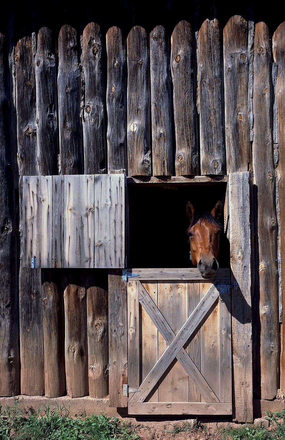 brown, horse, inside, cage, horse stable, animal, nature, equestrian, pferdeportrait, install window