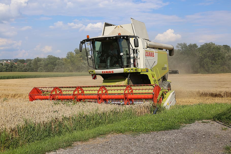 combine harvester, harvest, agriculture, field, cereals, wheat, rural, grain, agricultural machine, machine