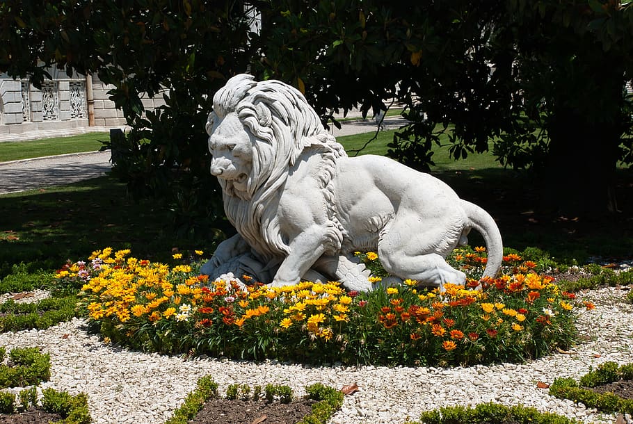 leão, escultura, parque, estátua, planta, Planta de florescência, arte e artesanato, flor, crescimento, representação
