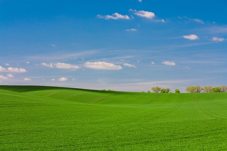 papel de parede da tela inicial do computador, verde, grama, pastagens, montanha, paisagem, natureza, campo, fazenda, azul
