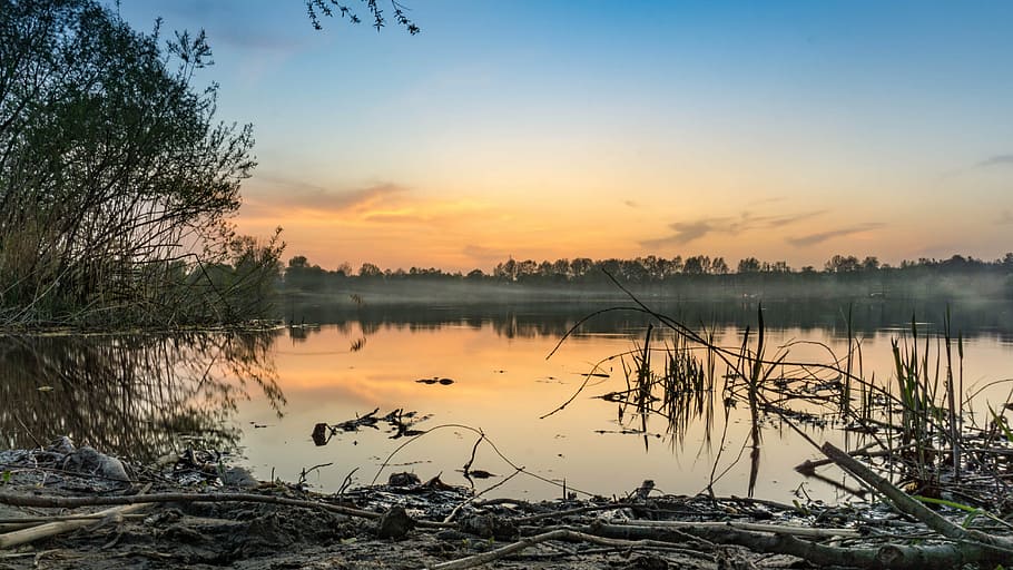 pesochin, ukraine, sunset, river, forest, haze, orange, horizon, swamp ...