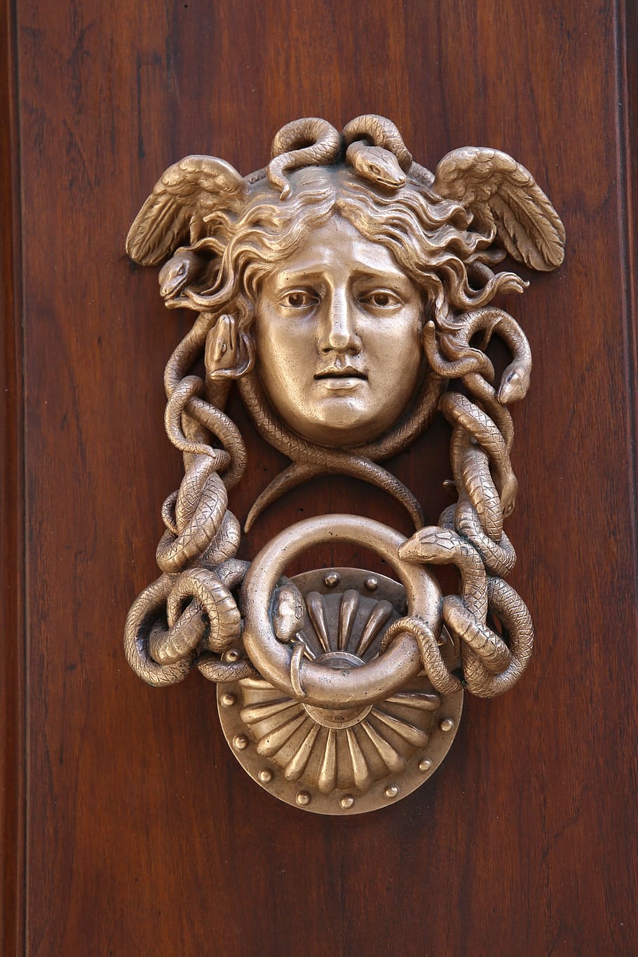 silver medusa door knocker, silver, medusa, door knocker, the door, entrance, italy, door, lion - feline, wood - material