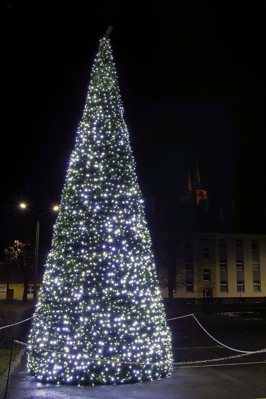 christmas tree, the lights, lights, stars, christmas decoration, christmas, christmas ornaments, christmas tree lights, the tradition of, night
