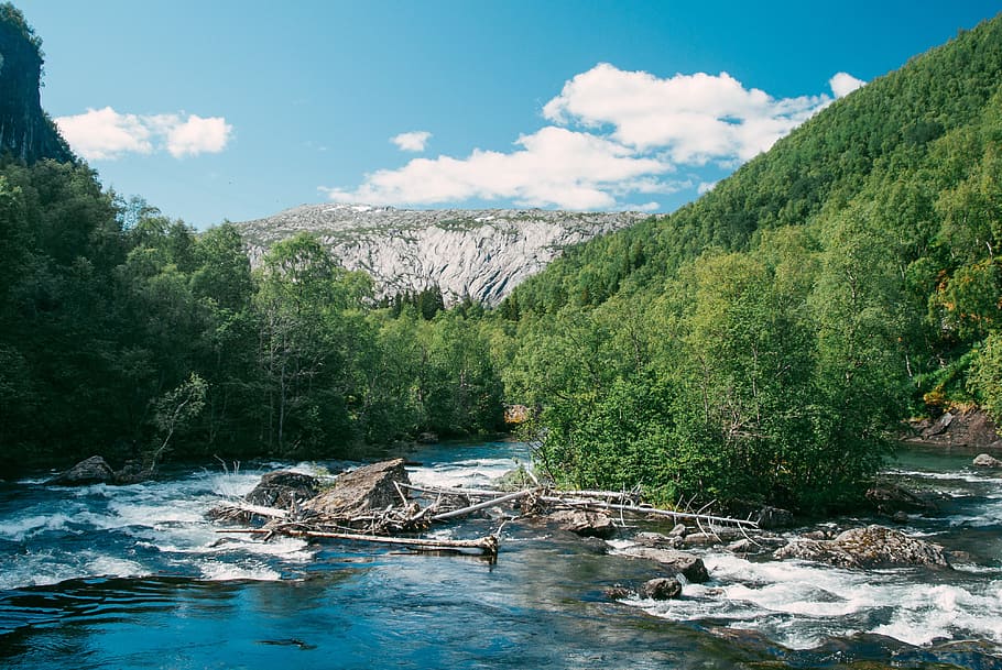 rio da montanha, noruega, paisagem, viagem Locais, natureza, água, rio, paisagens, floresta, montanha
