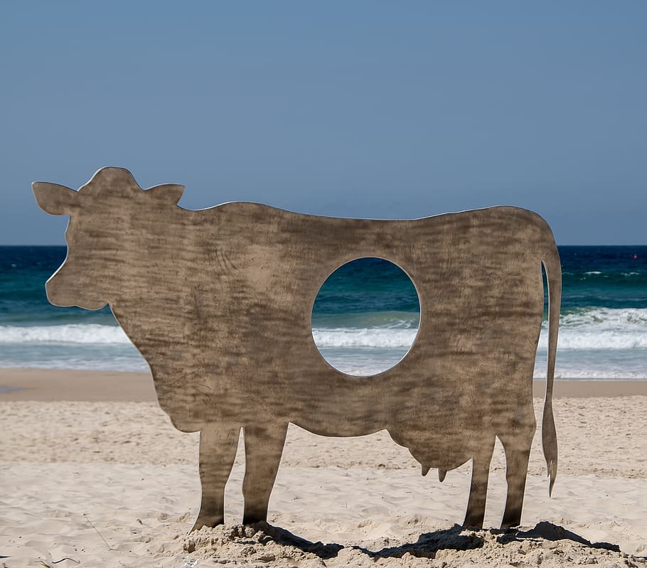 cow, silhouette, hole, sculpture, art, contemporary, modern, beach, sea, surf