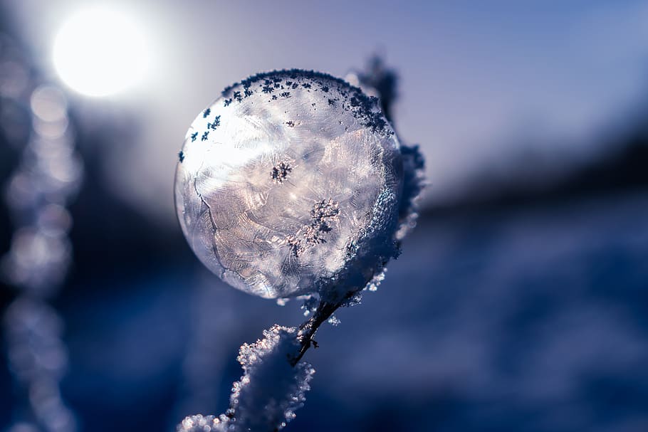 close-up lens photography, frozen, dew, dawn, soap bubble, frozen bubble, winter, eiskristalle, wintry, cold