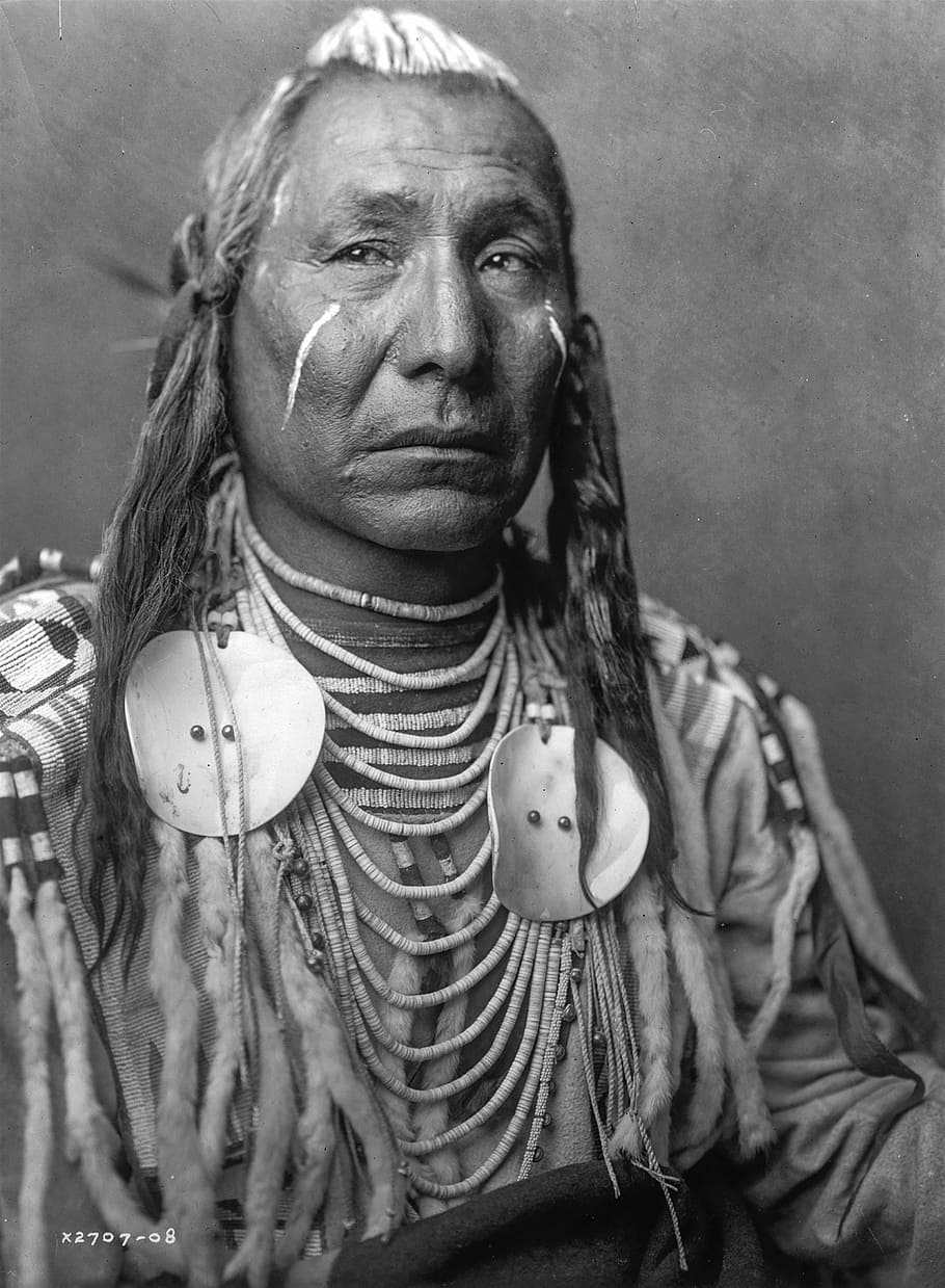 masculino, nativo, foto de indio americano, histórico, vintage, sioux, indio, estadounidense, jefe, estilo de vida