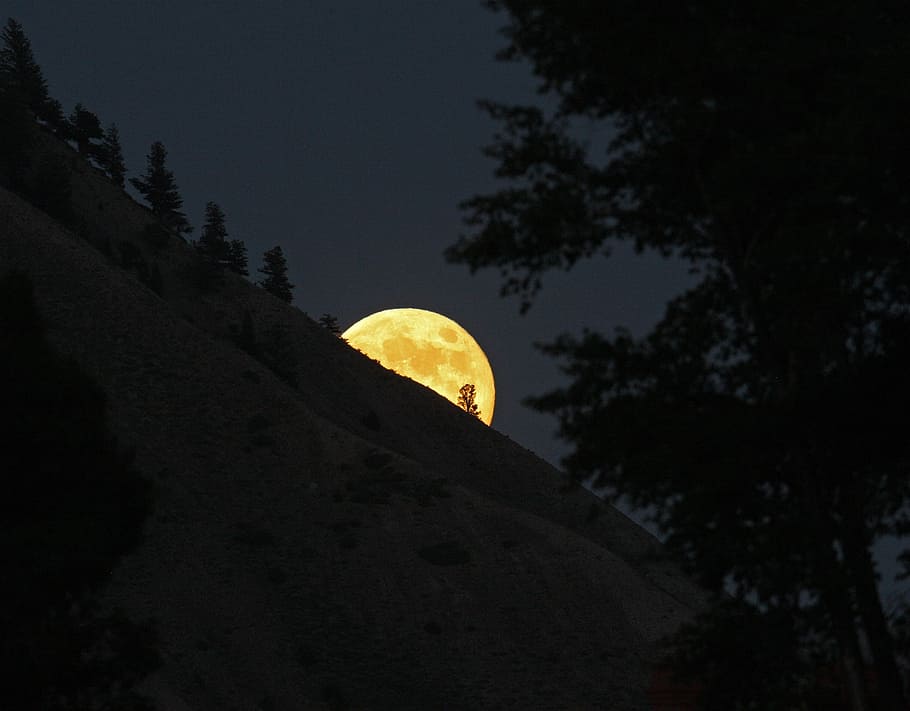 hill, covering, half face, moon, full moon, rising, night, landscape, sky, outdoors