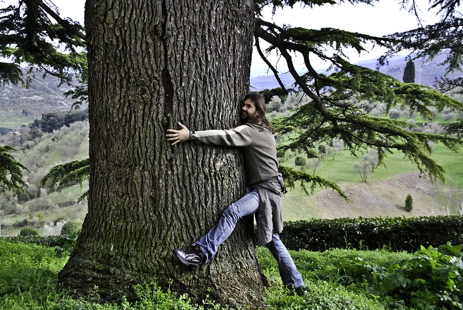 abrazos, árbol, durante el día, hombre, alto, enorme, grasa, grande, naturaleza, feliz