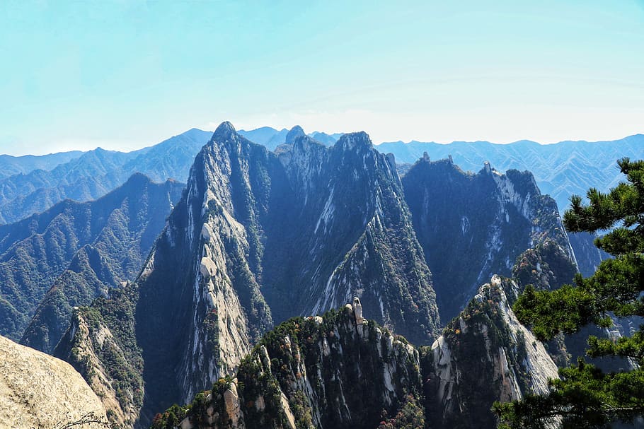 china, shaanxi province, pinus armandii, mountain, tourism, natural, cliff, scenics - nature, beauty in nature, mountain range