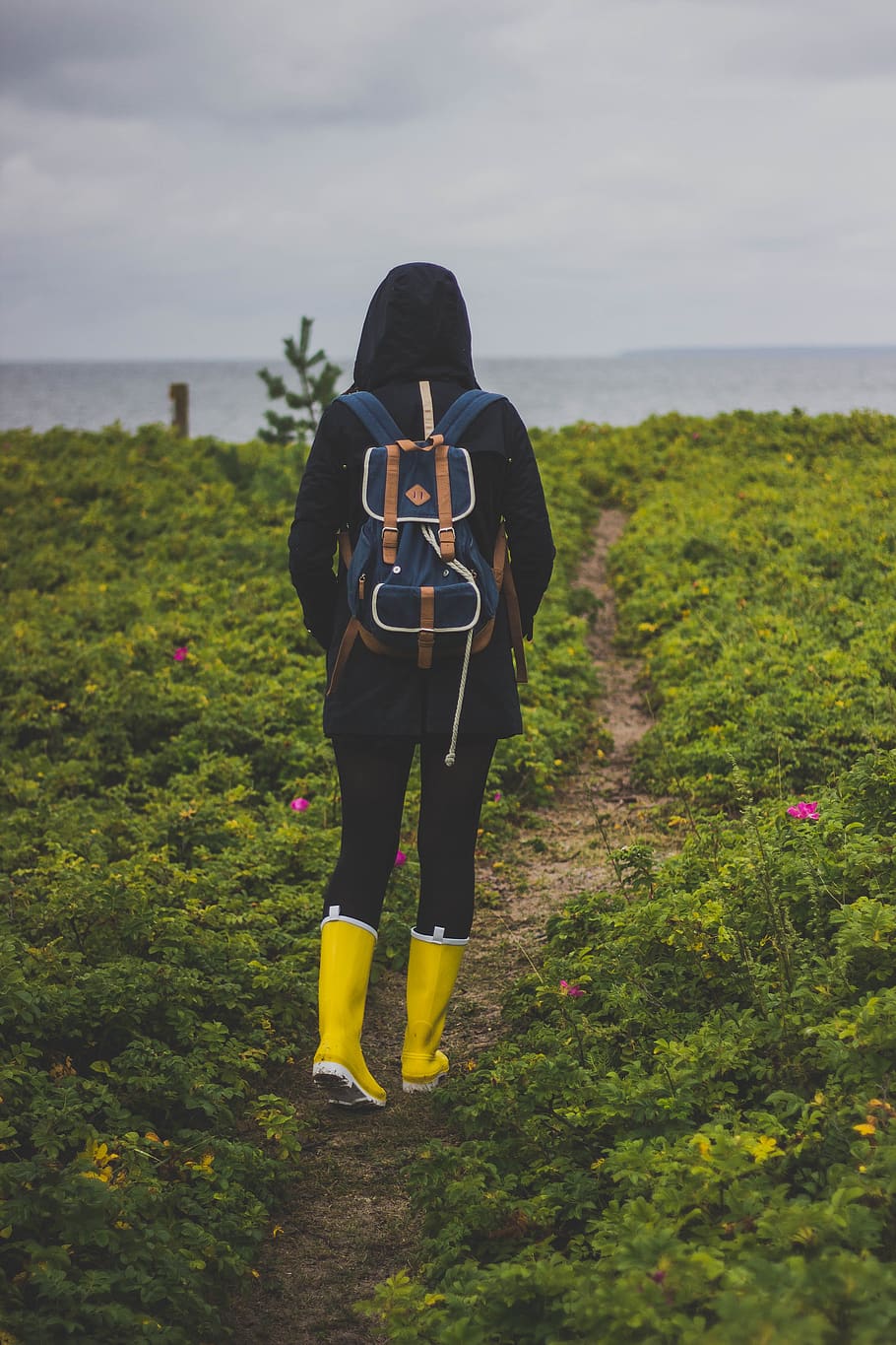 nature, outside, hiking, path, backpack, trip, wanderlust, rubber boots, plant, rear view