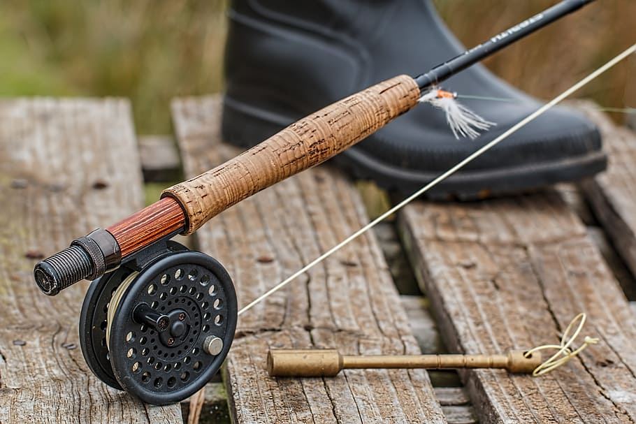black, fishing reel, mounted, rod, fishing rod, fly fishing, angling, fishing, hobby, trout fishing