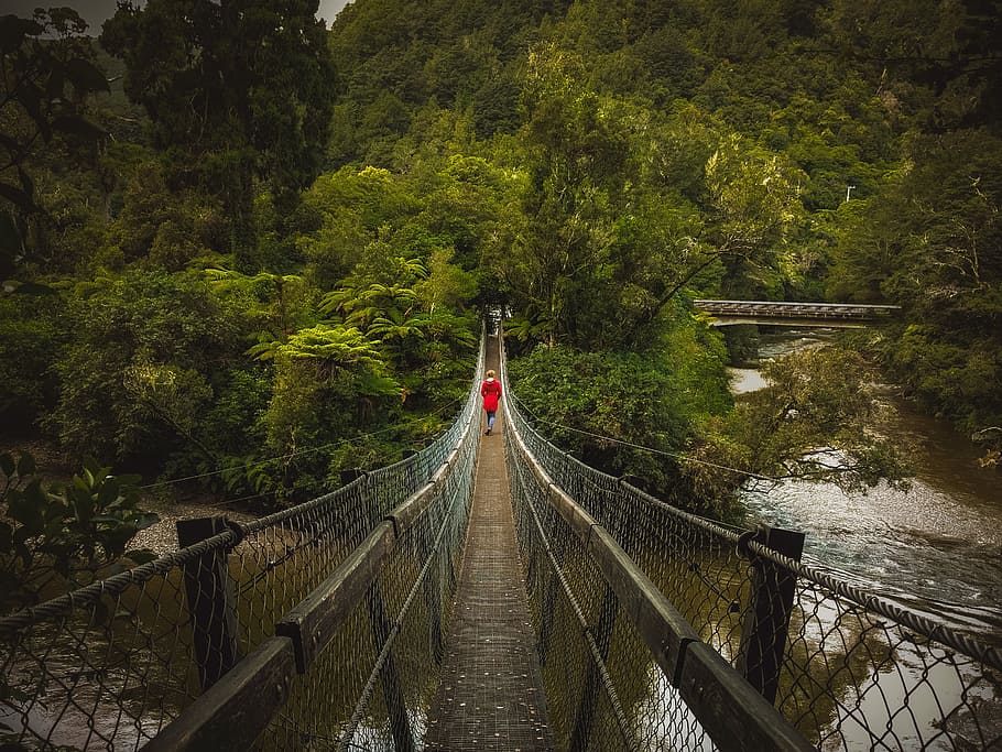 bridge, swing bridge, person, red, green, new zealand, lotr, rivendell, river, forest
