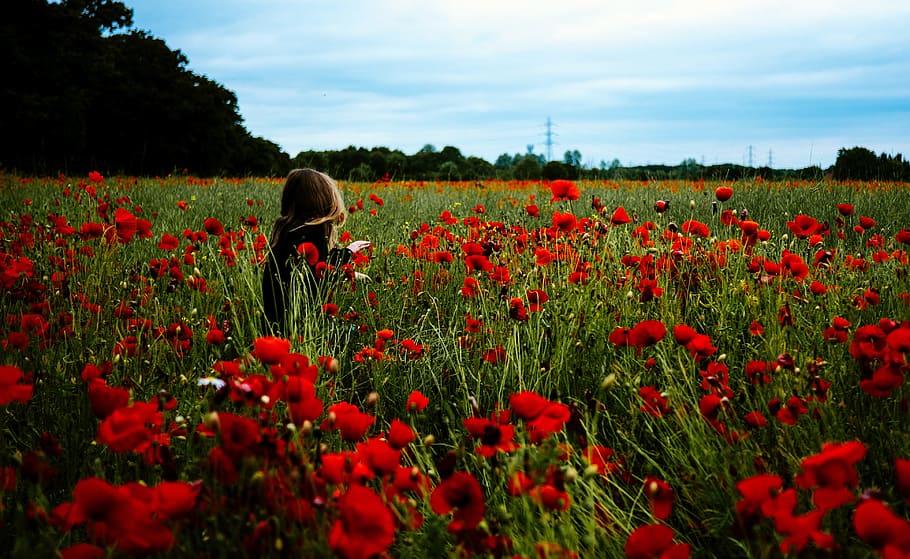 people, woman, girl, alone, solo, field, nature, trees, red, flowers