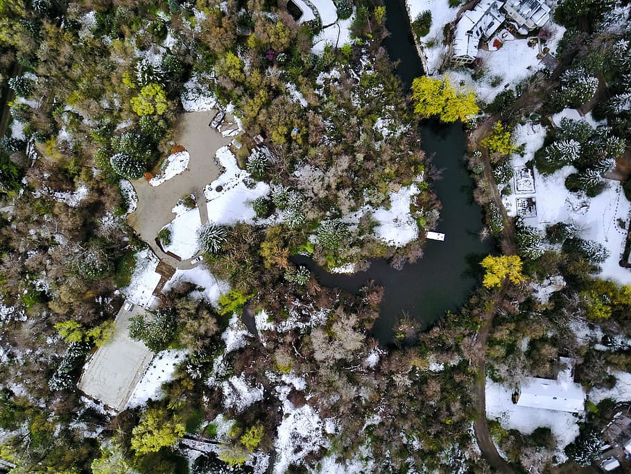 aerial, island, green, plants, trees, view, river, water, snow, winter