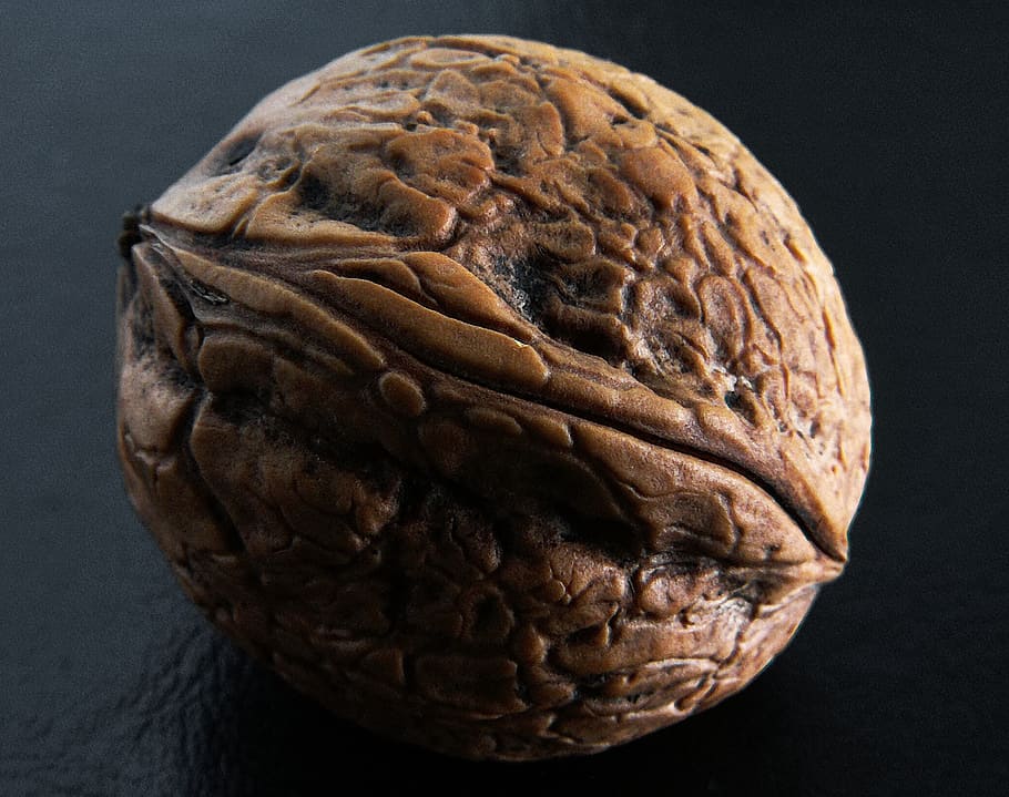 photography of wallnut, walnut, walnut waxes, hard, shell, brown, close-up, food, food and drink, indoors