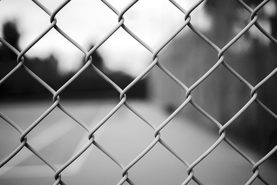 grayscale photography, chain-link fence, background, black white, blurred background, closeup, curtain, fence, iron, outdoor