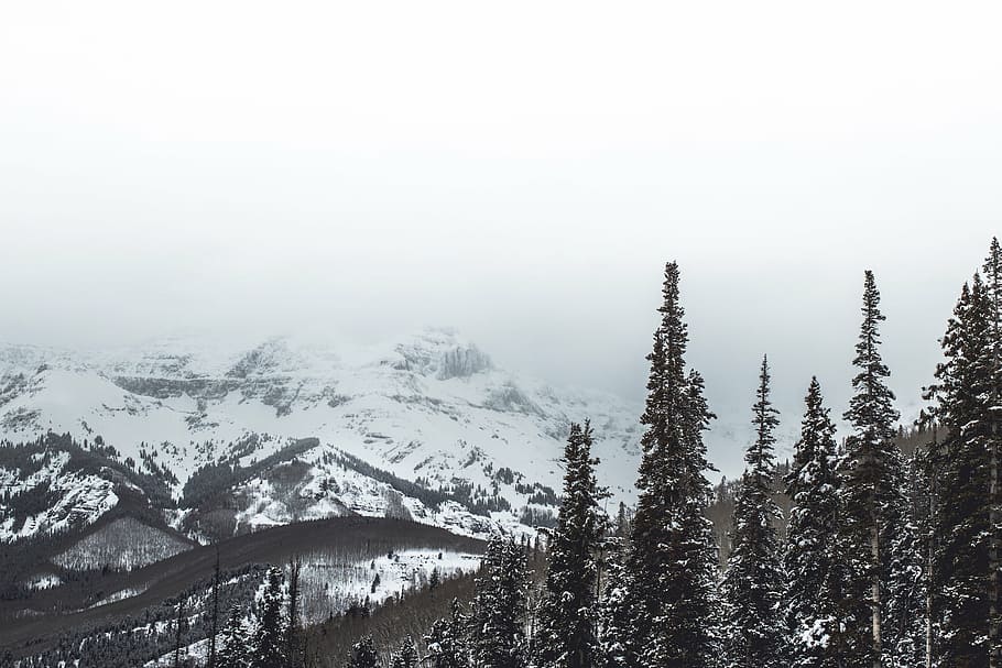 foto grayscale, gunung salju, siang hari, alam, pemandangan, gunung, salju, pegunungan Alpen, musim dingin, pohon