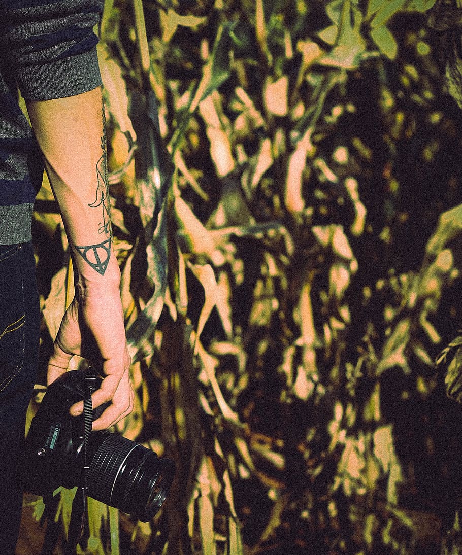 gente, hombre, chico, tatuaje, art, mano, brazo, cámara, lente, fotografía cultivos
