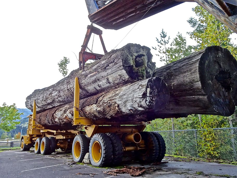 yellow, heavy, equipment, logs, Lumber, Timber Truck, Logging, Forestry, vehicle, machine