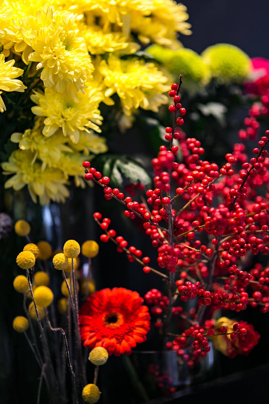 flores, flora, amarillo, ramo, serbal, bonita, composición, rojo, colorido, arreglo