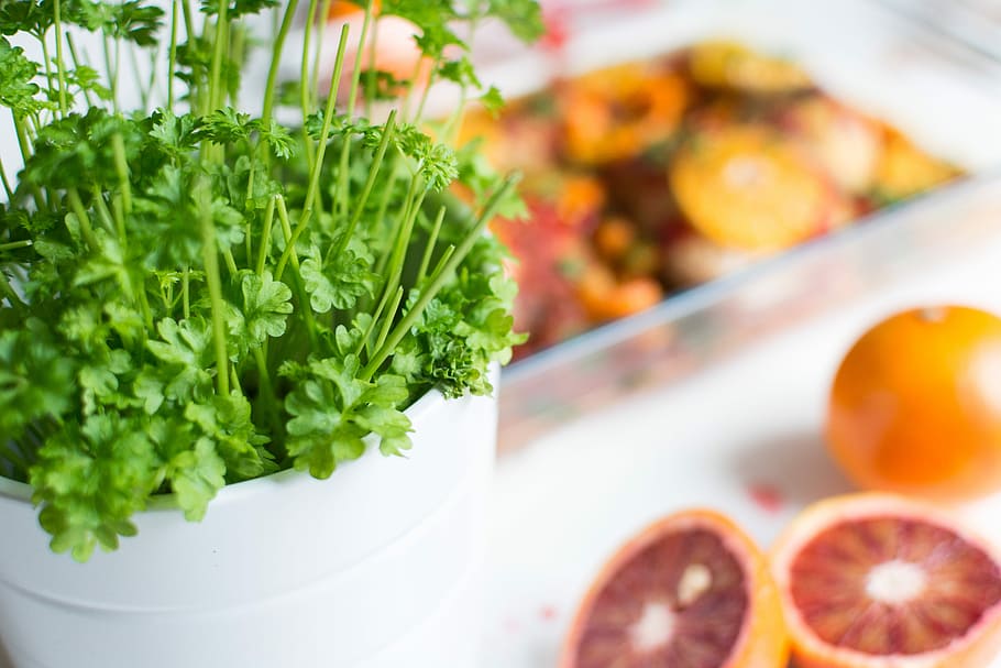 parsley, oranges, Fresh, close up, green, healthy, herbs, orange, food, freshness