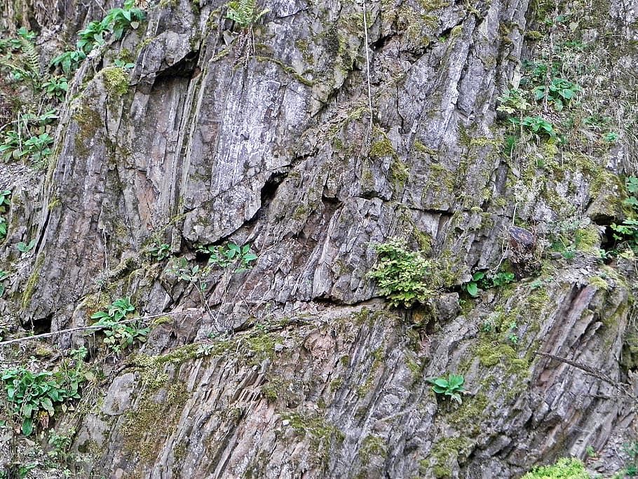 Muro de piedra, montañas, piedra caliza, verde, bosque, musgo, naturaleza, roca - objeto, texturado, árbol