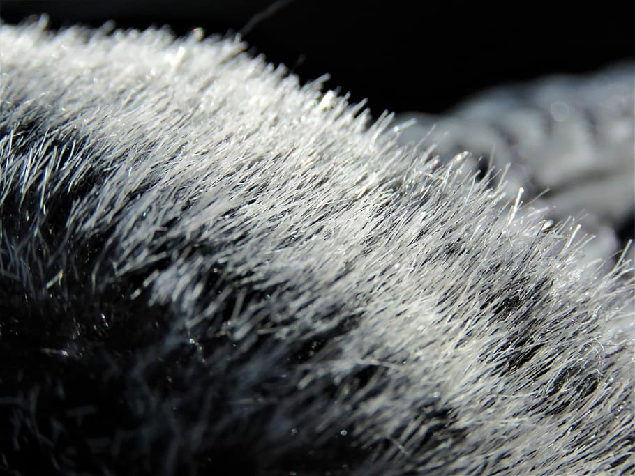 fur, fake fur, mitten, fabric, string, animal, animal body part, close-up, one animal, animal themes