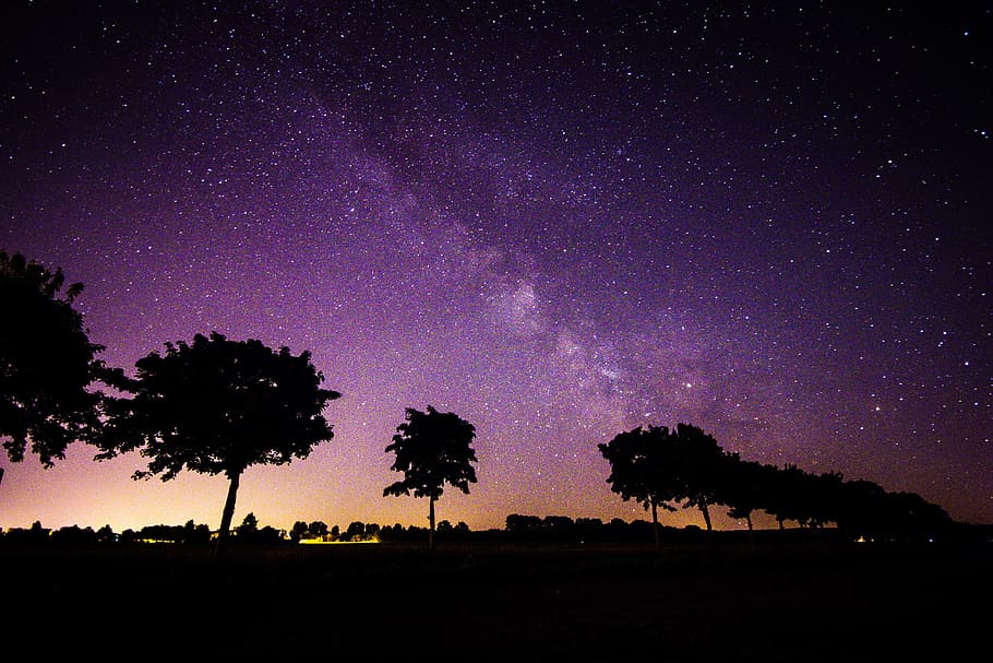silhouette photo, trees, purple, sky, aurora borealis, star, shadow, silhouette, night sky, starry sky
