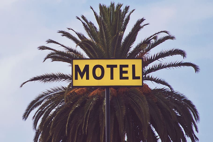 motel, trees, building, establishment, rooms, palm tree, tropical climate, text, communication, sign