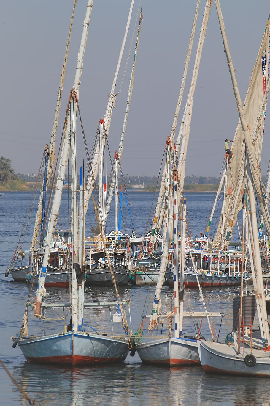 bota, velero, anclaje, agua, vela, mástiles de barco, mástil de barco, nilo, egipto, transporte