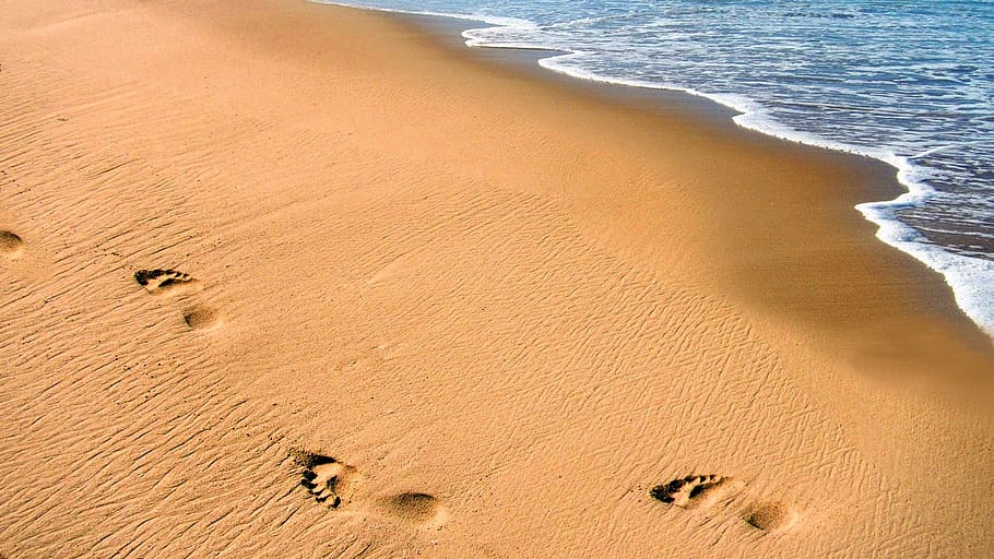 footstep on seashore, beach, sand, ocean, footprints, person, walking, sea, water, nature