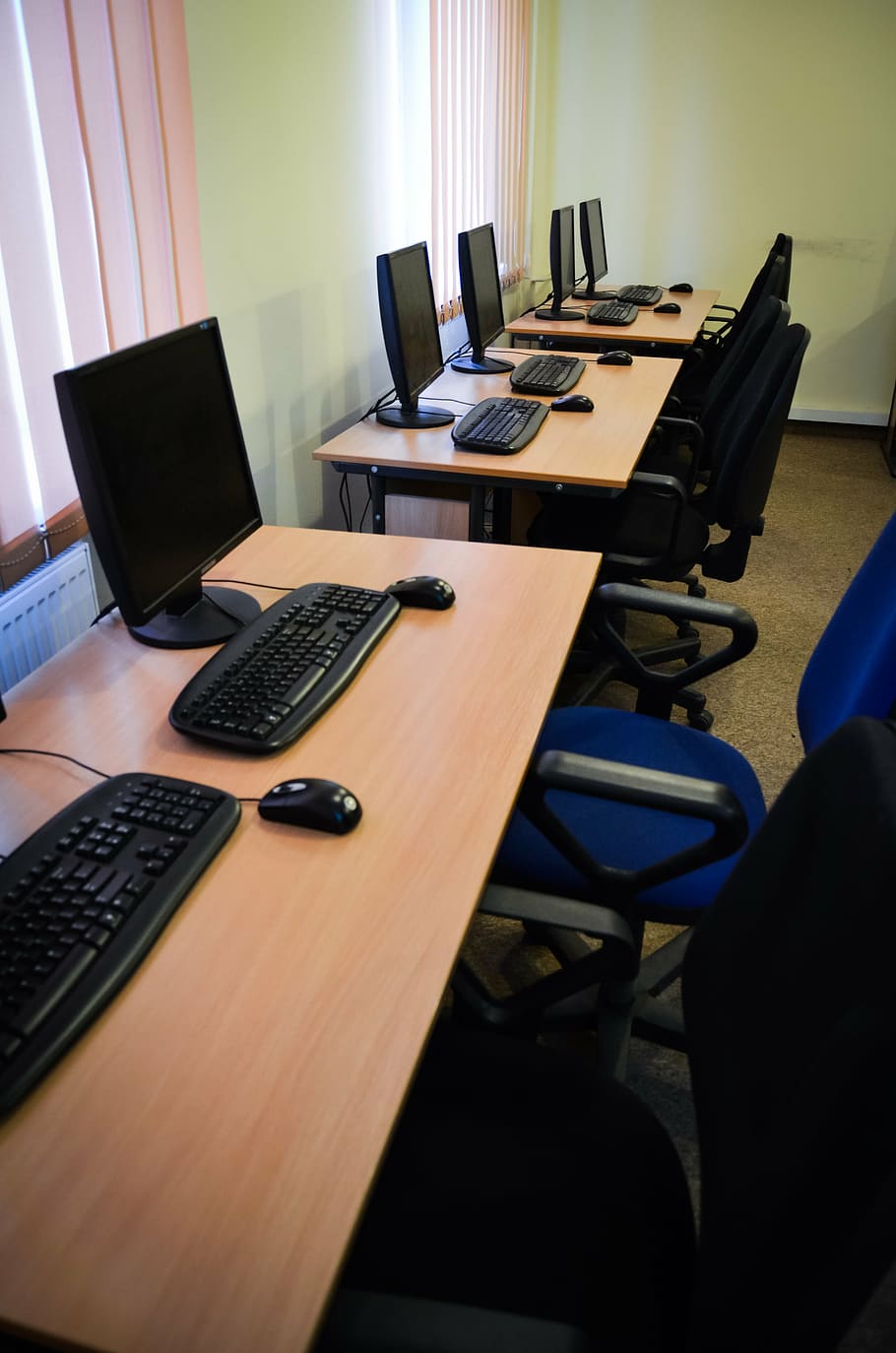 five, black, flat, screen computer monitors, brown, wooden, desks, school, room, training