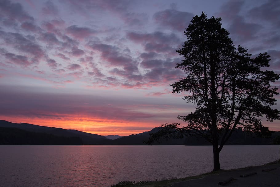 sunset, calm, peaceful, water, dusk, reflection, warm, golden, shore, lake