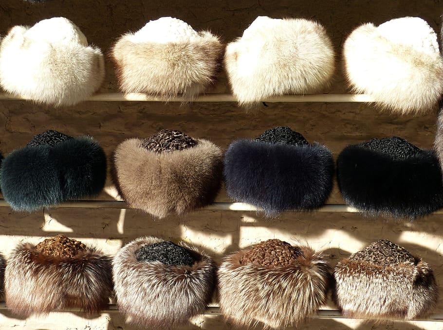 cap, fur, cold, fashion, winter, fur hat, clothing, hat, animal themes, mammal