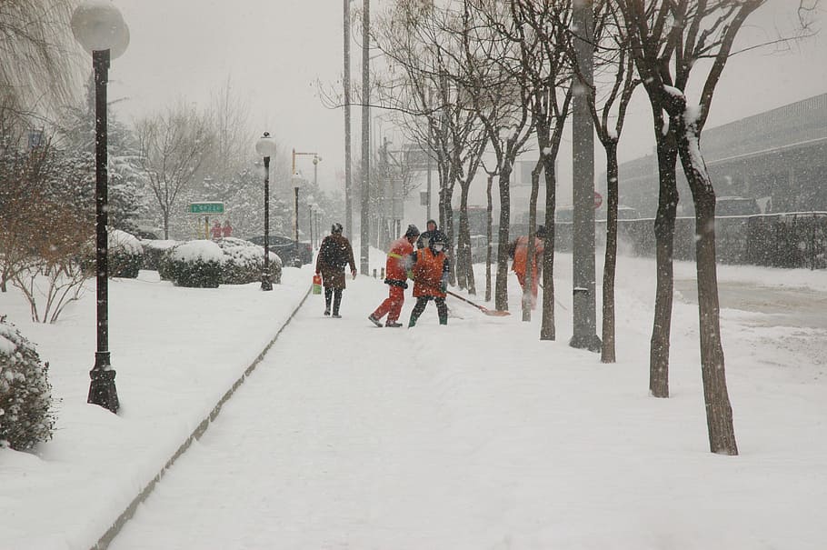 people, walking, lamppost, covered, street, Snowfall, Snow, shoveling, working, winter