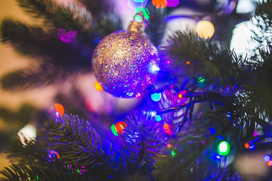 natal, pohon, lampu, dekorasi, ornamen, meriah, liburan, pohon Natal, perayaan, dekorasi Natal