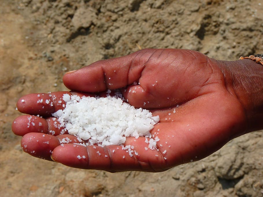 person holding salt, salt, hand, food, white, human hand, human body part, one person, holding, finger