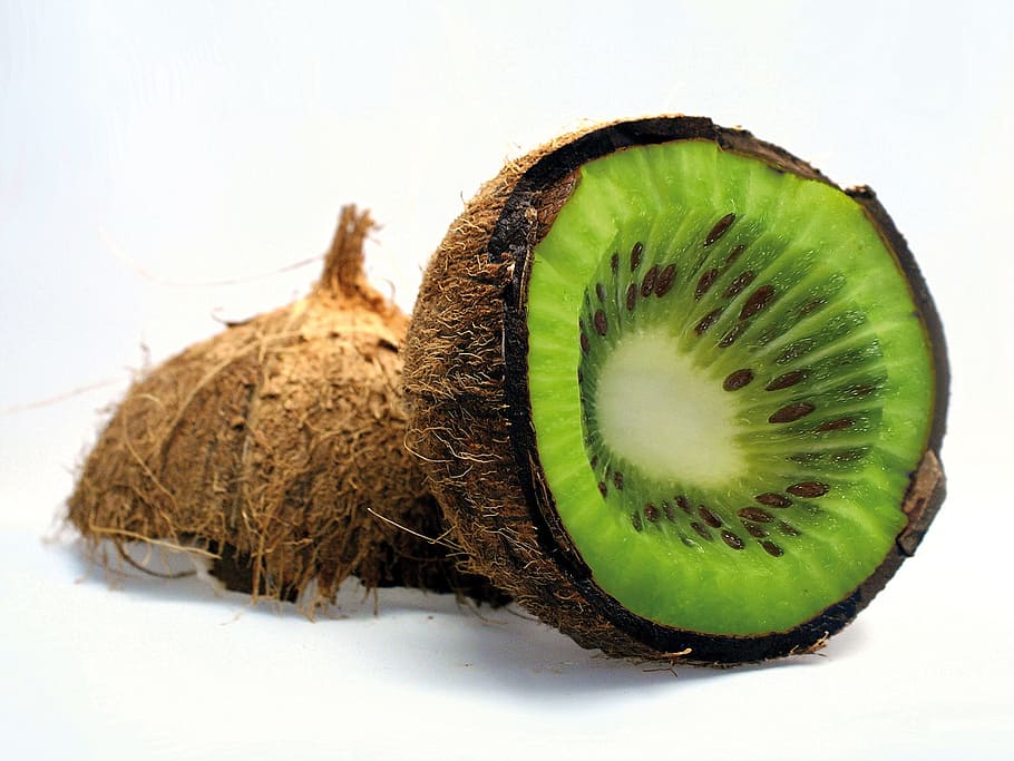 kiwi fruit, coconut, kiwi, fruit, vitamin, slice, green, vegetale, foods, tasty
