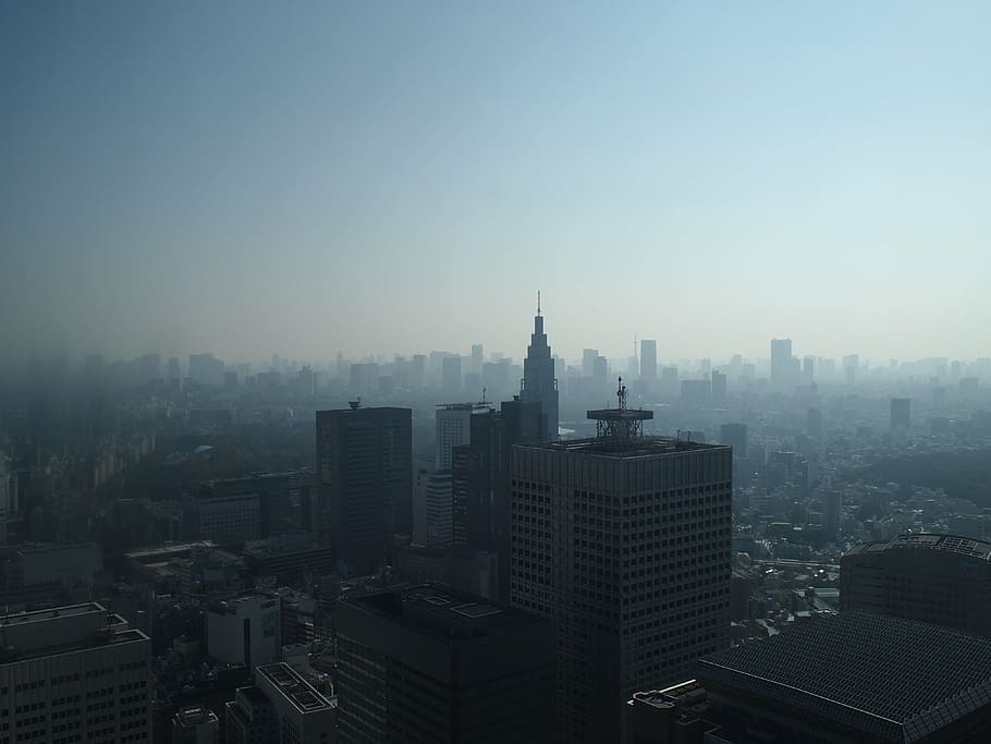 bangunan bertingkat tinggi, tokyo, pagi, shinjuku, kabut asap, arsitektur, kaki langit, kota, lanskap kota, menara
