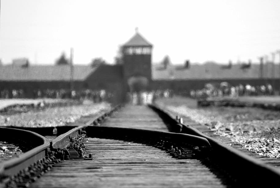 grayscale photo, train rails, birkenau, auschwitz, concentration, camp, holocaust, rail track, points, poland