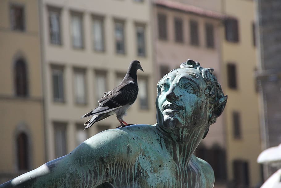 selective, focus photo, black, pigeon, person shoulder statue, statue, bronze, bird, animal wildlife, architecture