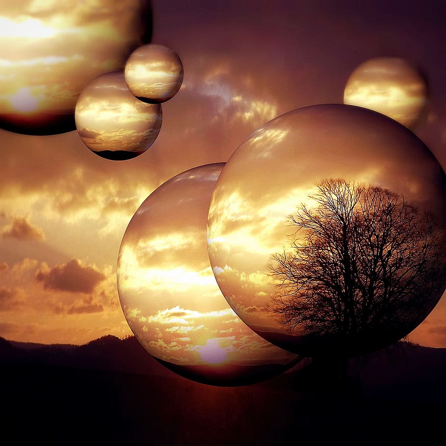 tree, inside, sphere illusion photo, planet, ball, moon, golden, sunset, sunrise, lighting