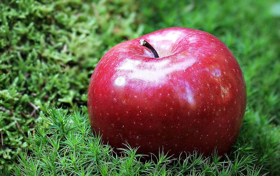 red, apple, green, grass, red apple, red chief, fruit, frisch, vitamins, nature
