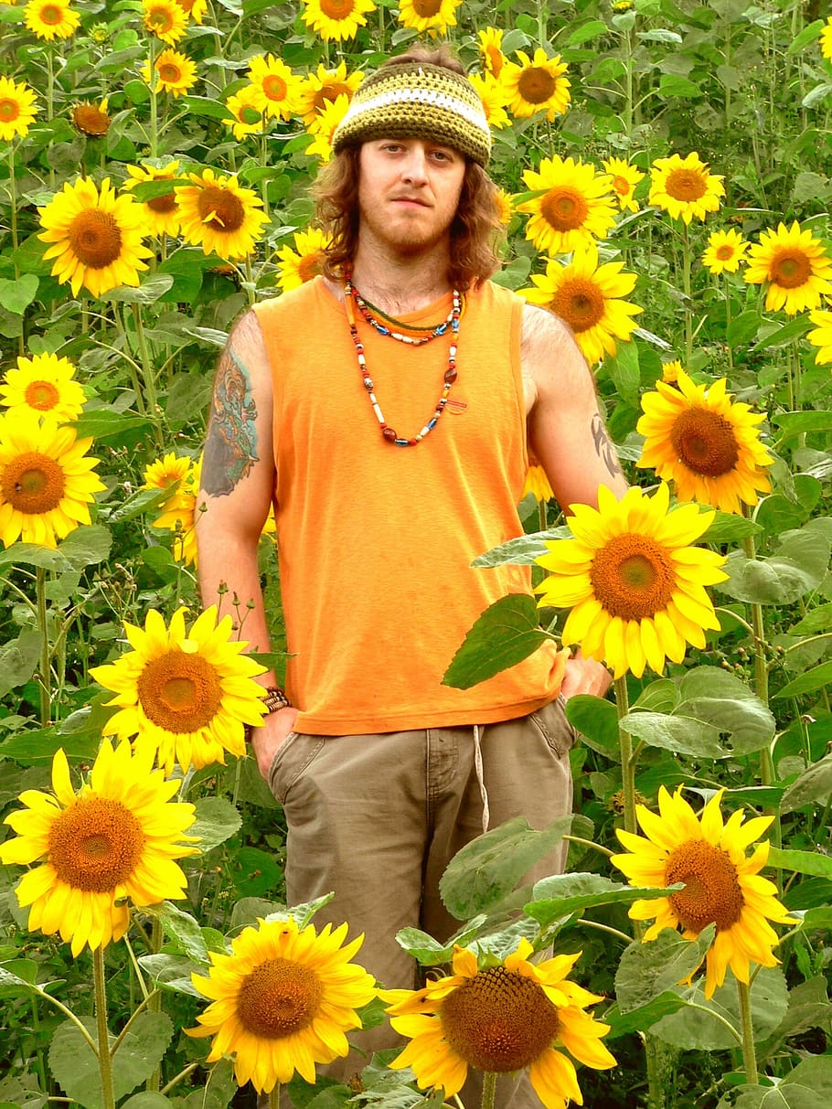 hippie, girasoles, amarillo, natural, floral, jardín, verde, vida, feliz, soleado