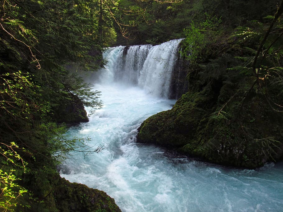 Spirit Falls, Trail, Little White Salmon River, WA, cascada entre árboles, agua, belleza en la naturaleza, cascada, movimiento, bosque